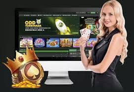 Kartu fitur pengumuman untuk pengguna